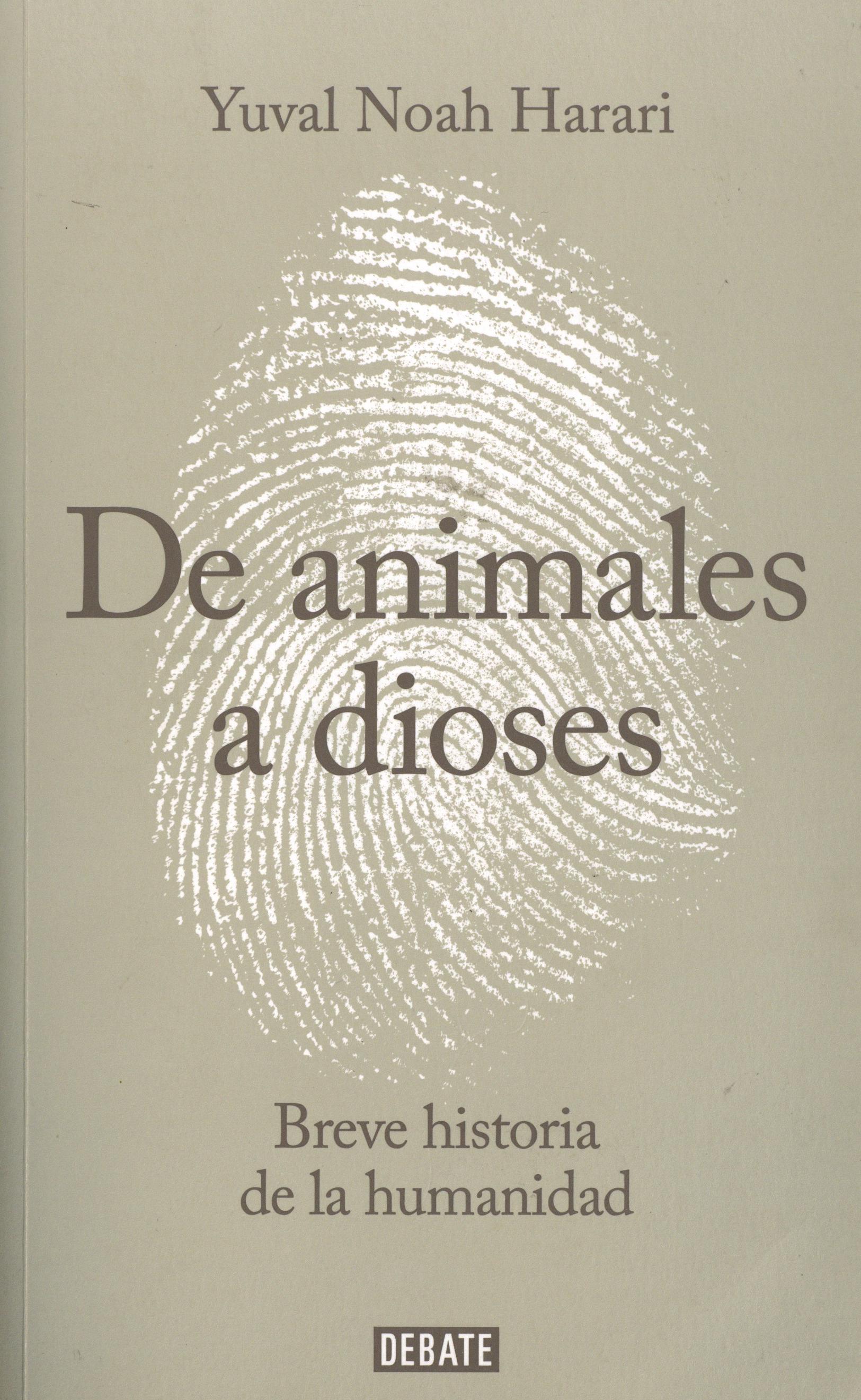 Libro